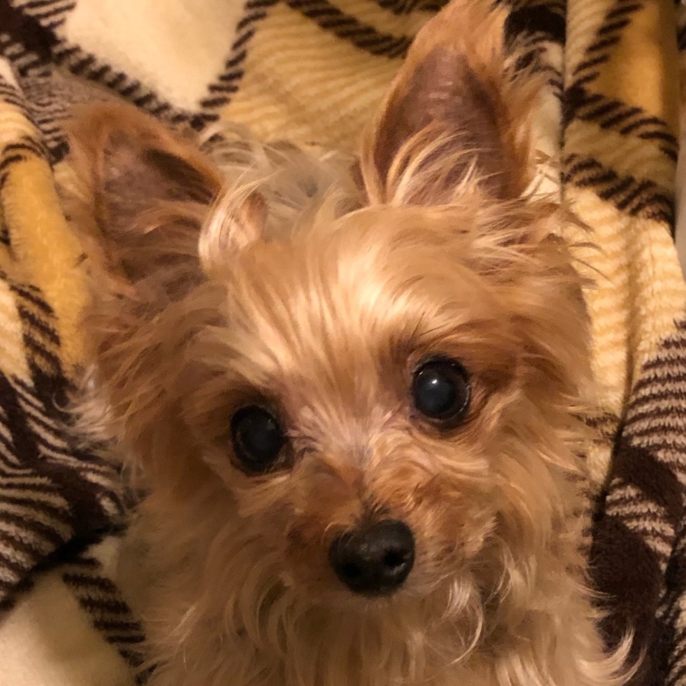 Meet your Posher, Charlene